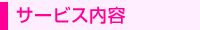 �T�[�r�X���e